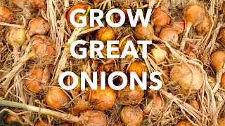 Onion Growing Guide [upl. by Anders]