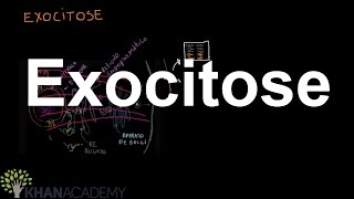 Exocitose  Membranas e transportes  Biologia  Khan Academy [upl. by Ahsikam425]