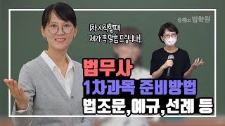 법무사시험 법무사 1차 시험 처음 시작하시는 분들 꼭 보세요 두번 보세요 김미영 법무사 [upl. by Riha]