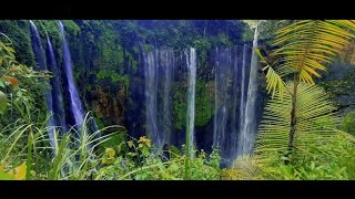 Tumpak Sewu Waterfall  Cinematic Video [upl. by Atram]