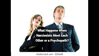 What Happens When Narcissists Meet Each Other or a Psychopath [upl. by Ahsyla]