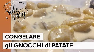 Congelare gli Gnocchi di Patate [upl. by Ennayr]