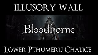 Bloodborne Illusory Wall Lower Pthumeru Chalice Layer 4 [upl. by Zanahs350]