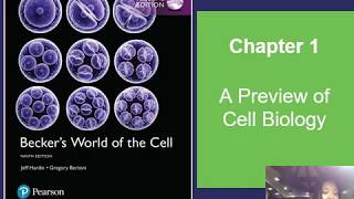 Introduction to Cell and Molecular Biology [upl. by Drogin]