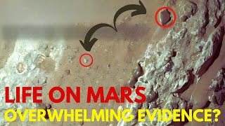 Perseverance Finds Evidence of Life on Mars This Rock Shocked NASA [upl. by Etteinotna]