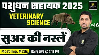 Pashudhan Sahayak LSA Veterinary Science सूअर की नस्लें L46  Utkarsh Classes Sumit Sir [upl. by Shayne]