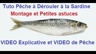 TUTO et MONTAGE Pêche à Dérouler des Pélagiques en Bateau [upl. by Franck]