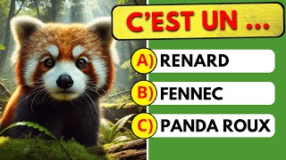 Devine lANIMAL en 3 secondes  Quiz 50 animaux [upl. by Ardnat]