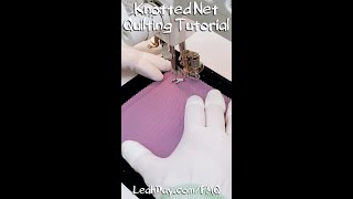 Beginner Free Motion Quilting Design  Knotted Net  Home Machine [upl. by Antonius]