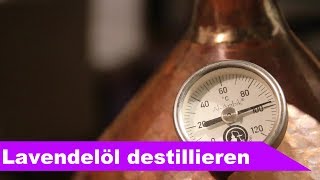 🌷 Lavendel destillieren 🌻  ätherisches Öl selber machen  diSTILLed [upl. by Charteris250]