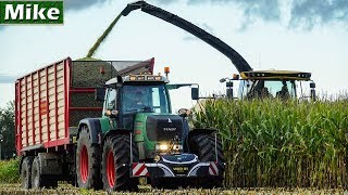 2019  Mais hakselen  New Holland FR550  6x Fendt SOUND  Visch BV  Mais häckseln [upl. by Aenal]