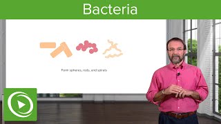 Bacteria Structure amp Types – Microbiology  Lecturio [upl. by Atazroglam]