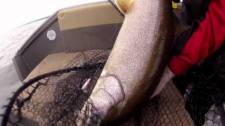 OUTDOOR PASSION LAKE CHAMPLAIN MONSTER LAKE TROUT [upl. by Chapell27]