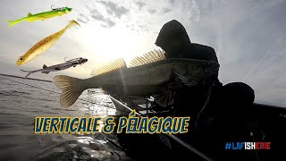 pêche verticale et pélagique sur le lac de Cazaux Sanguinet [upl. by Nnaillij]