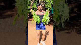 Diet plan Ideas tamil  Healthy Life style  Sathish fitness tamil [upl. by Aim247]