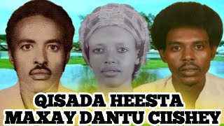 Qisada heesta maxay dantu ciishay wiil faadumo axmed dhimbiil Iyo cnuur alaale [upl. by Barnabe]