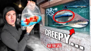 Buying CREEPY FISH OFF The WEB For My Saltwater Pond [upl. by Amalbena]