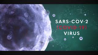 Randox Laboratories  Coronavirus COVID19 LoPlex Array [upl. by Manuela291]