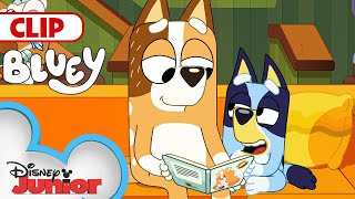 Bluey Season 3 Episode 7 quotUnicorsequot Episode Clip  disneyjr  BlueyOfficialChannel [upl. by Cis799]