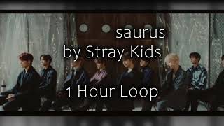 Chronosaurus by Stray Kids 1 Hour Loop [upl. by Durnan]