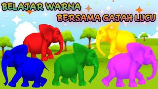 Gajah Lucu 💞  Film Kartun Animasi Anak Anak  Belajar Warna Dengan Hewan Lucu [upl. by Marr151]