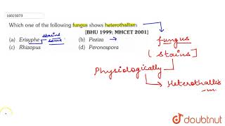 Which one of the following fungus shows heterothallism [upl. by Lehcor175]