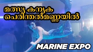 Marine Expo24 Perinthalmannaസമുദ്ര രാജ്ഞിയുടെ അത്ഭുതലോകംമത്സ്യകന്യക marine expo perinthalmanna [upl. by Pejsach673]