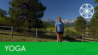 Power Up Yoga with Rodney Yee Connect  Yoga  Gaiam [upl. by Absa418]