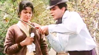 Waheeda Rehman  Best Movie Scenes  Waheeda Rehman and Dilip Kumar Movie Scenes  Ram Aur Shyam [upl. by Yenaiv344]