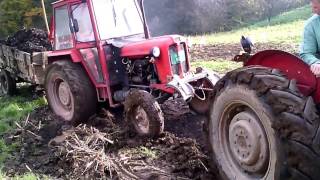 IMT 558 izvlacenje stajnjaka  IMT 558 pulling manure [upl. by Aisyat]