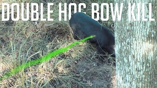 GRAPHIC Wild Hog Bow Kill with Tree Saddle and Hobie Pro Angler  Hunting Journal Day 8 [upl. by Leaw]