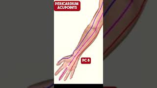 The Pericardium Meridian Acupuncture Points [upl. by Aissak662]