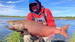 Alaska King Salmon Fishing Vlog [upl. by Aihc672]