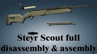 Steyr Scout full disassembly amp assembly [upl. by Buonomo]