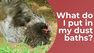 What I Put In My Chickens Dust Baths [upl. by Litch767]