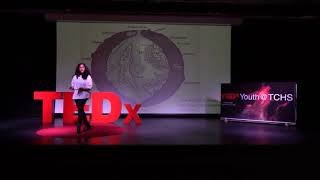 Hollow Earth Fact or Fiction  Salma Nagy Mahmoud  TEDxYouthTCHS [upl. by Einnoc115]