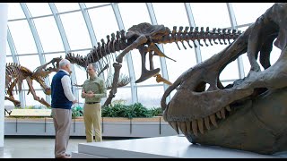 Do Dinosaurs Show Evidence of Design  Dr Marcus Ross [upl. by Tsuda131]