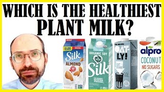 What Is The Healthiest Plant Milk [upl. by Nosyaj551]