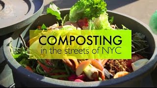 Composting 101 How to compost in NYC [upl. by Auqinehs]