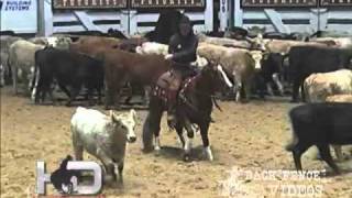 SDP Buffalo Ranch  Hydrive Cat 2006 NCHA Futurity Open Reserve CHAMPION [upl. by Eenal177]