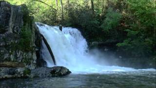 Abrams Falls Cades Cove Great Smoky Mountains National Park Tennessee [upl. by Oramug]