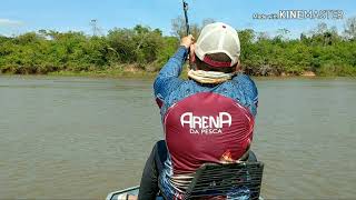 MAIOR PEIXE DE ÃGUA DOCE PIRAÃBA UM GIGANTE DE 226M PESCARIA NO RIO ARAGUAIA [upl. by Ellivnarg246]