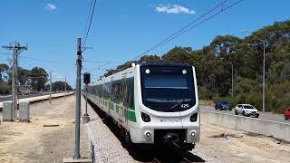 Transperth Cseries 129 arriving at Whitfords [upl. by Dusa]