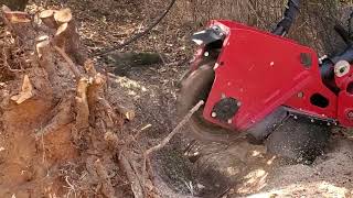 STUMP GRINDING [upl. by Mayap]