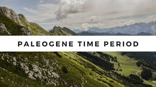 What was life like during the Paleogene Time Period [upl. by Gibeon]