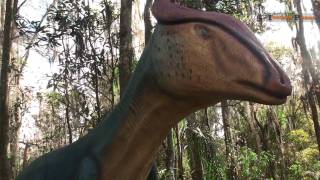 Dinosaur World Plant City [upl. by Alenoel]