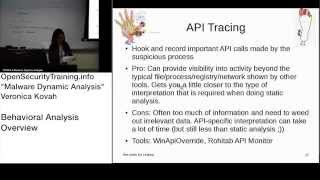 Dynamic Malware Analysis D1P13 Behavioral Analysis Overview [upl. by Houghton]