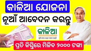 Kalia Yojana Online Apply odisha 2023kalia Yojana Online grievance apply [upl. by Evadne]