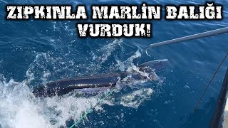 ZIPKINLA DEV MARLİN BALIĞI VURDUK  TARİHİ GÖRÜNTÜLER [upl. by Lenuahs999]