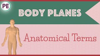 Anatomical Terms Human Body Planes [upl. by Fernandes]